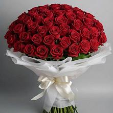 Букет 101 Красная роза Блэк Мэджик #REPLACE_PRED# Алкино