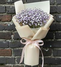 Букет цветов из:  Гипсофила в Алкино