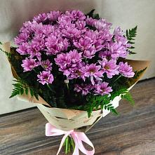 Букет цветов из:  Хризантемы #REPLACE_PRED# Алкино