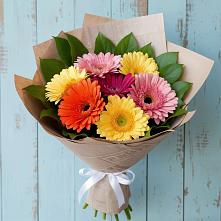 Букет цветов из:  Герберы в Алкино