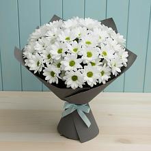 Букет цветов из:  Хризантемы #REPLACE_PRED# Алкино