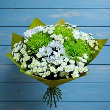 Букет цветов из:  Хризантемы #REPLACE_PRED# Алкино