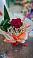 Букет цветов из: Розы в Алкино