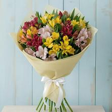 Букет цветов из:  Альстромерии в Алкино