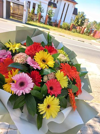 Букет цветов из: Герберы в Алкино